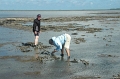 71 - joost-zeiltocht wadden 10 DSC_1180 b